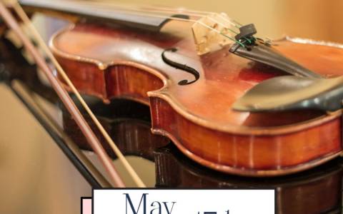World Violin Day